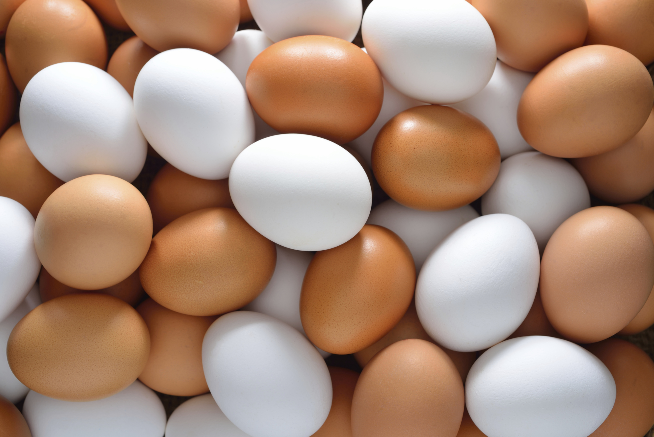 Read more about the article Eggs
